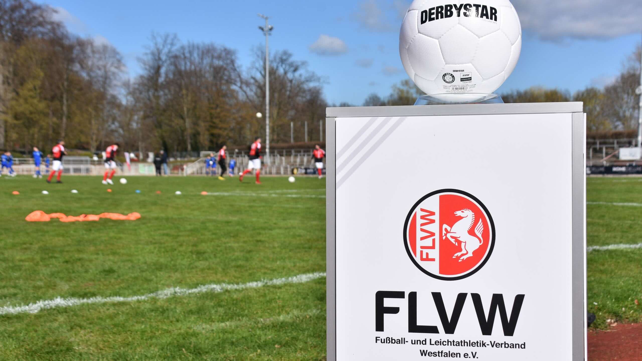 FLVW Logo Amateurspiel Feature Stele