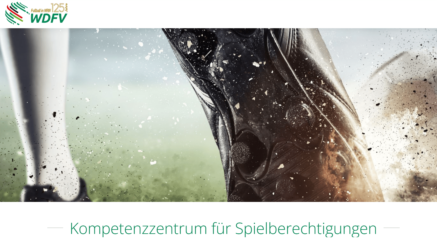 Dfbnet Pass Online